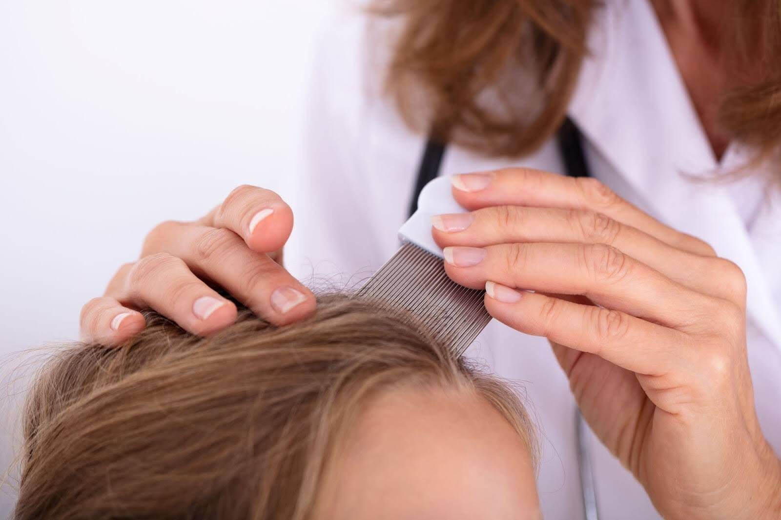 natural-ginesis-are-some-people-more-prone-to-lice-than-others.jpg