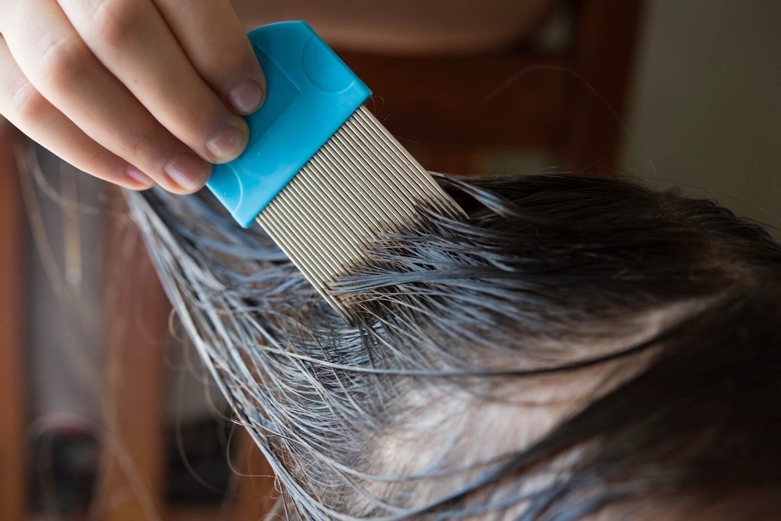 natural-ginesis-living-with-lice-four-ways-get-rid-lice-for-good-franklin-tn.jpg