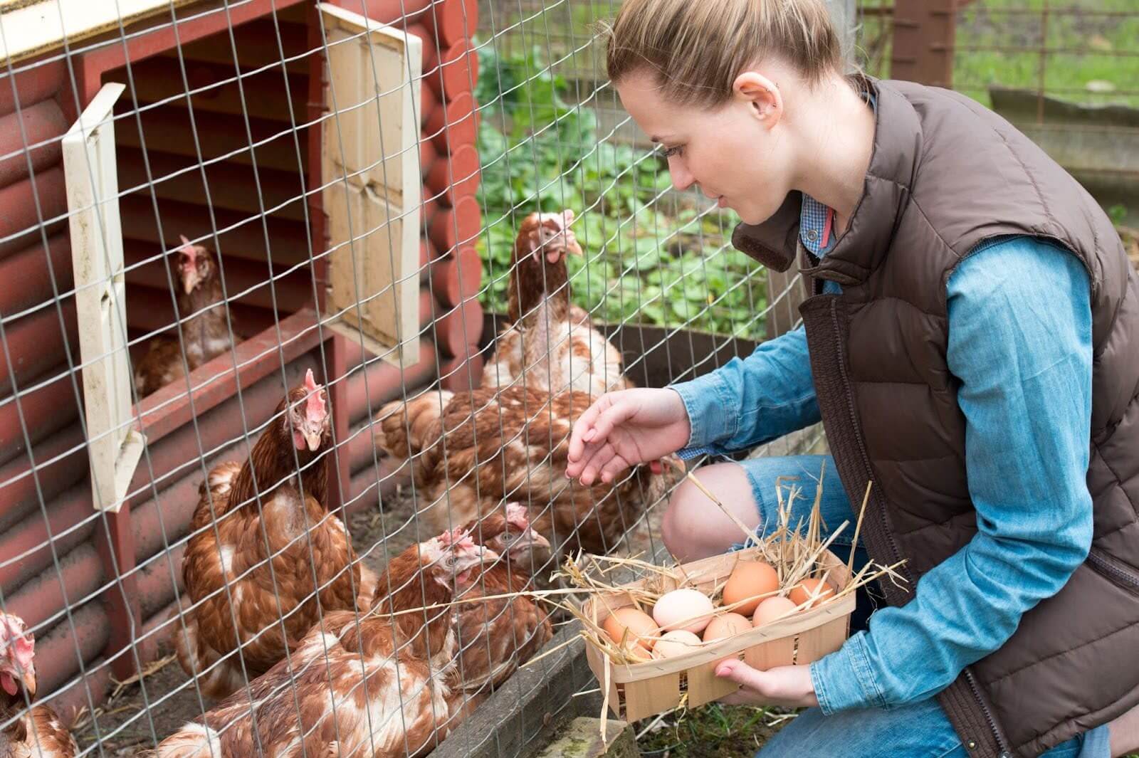 natural-ginesis-what-can-farmers-and-pet-owners-do-to-protect-their-animals-from-pests.jpg